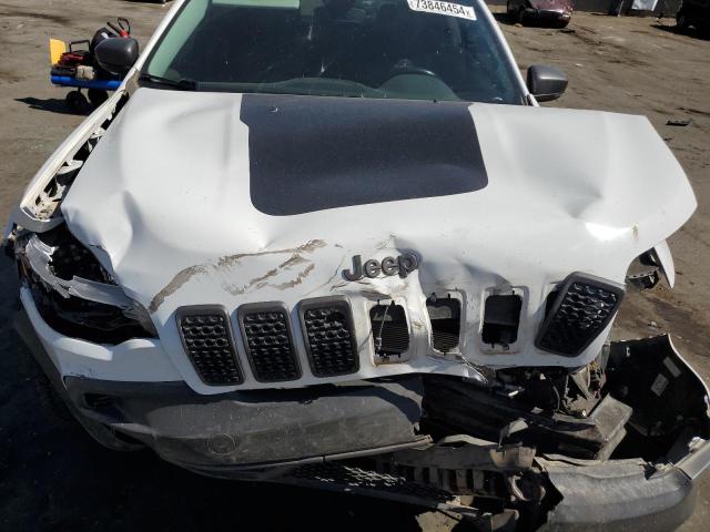 1C4PJMBX6LD506023 - 2020 JEEP CHEROKEE TRAILHAWK 白色 照片 12