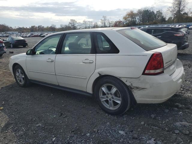 1G1ZT628X4F233433 - 2004 CHEVROLET MALIBU MAXX LS 白色 照片 2