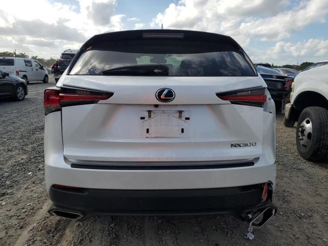 JTJAARBZ1L2166230 - 2020 LEXUS NX 300 BASE Ağ foto 6
