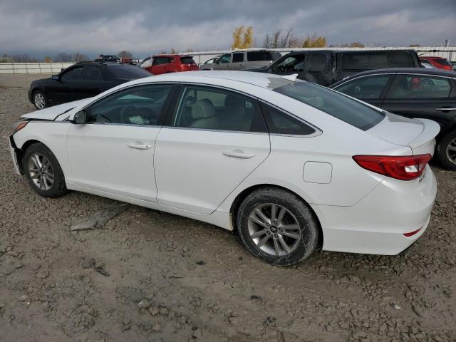 5NPE24AF4FH159724 - 2015 HYUNDAI SONATA SE WHITE photo 2