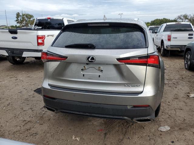 JTJYARBZ9K2150466 - 2019 LEXUS NX 300 BASE Boz foto 6