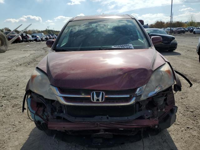 5J6RE4H75BL030057 - 2011 HONDA CR-V EXL BURGUNDY photo 5