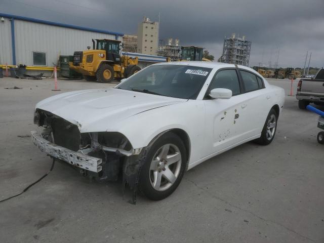 2C3CDXAG3DH523587 - 2013 DODGE CHARGER POLICE WHITE photo 1