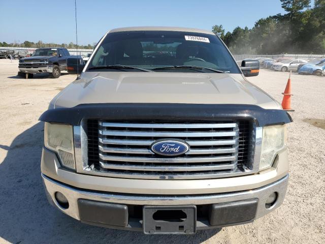 1FTFW1CV6AFD61589 - 2010 FORD F150 SUPERCREW GOLD photo 5