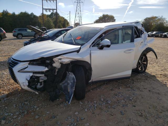 JTJYARBZXJ2091443 - 2018 LEXUS NX 300 BASE 白色 照片 1