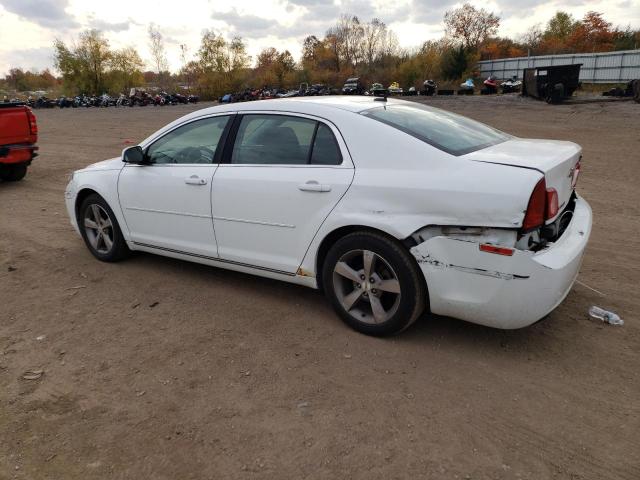1G1ZC5E13BF334111 - 2011 CHEVROLET MALIBU 1LT 白色 照片 2