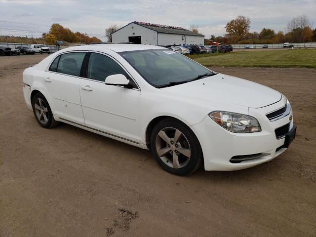1G1ZC5E13BF334111 - 2011 CHEVROLET MALIBU 1LT 白色 照片 4