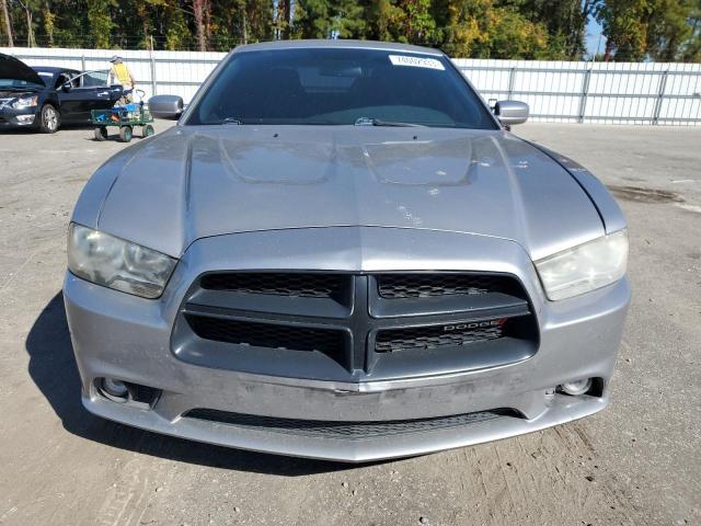 2C3CDXAT9DH578333 - 2013 DODGE CHARGER POLICE SILVER photo 5