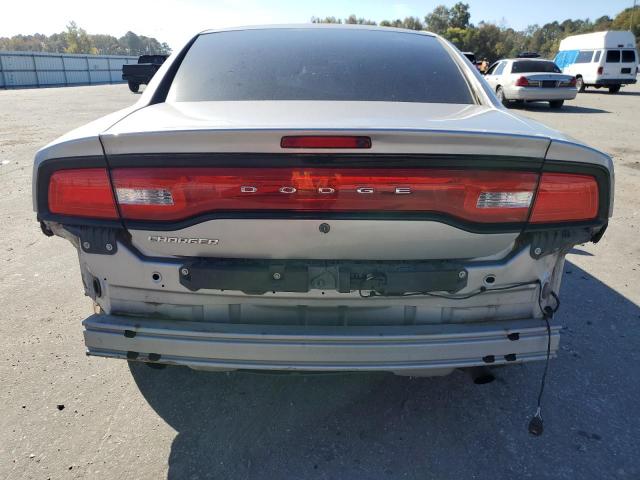 2C3CDXAT9DH578333 - 2013 DODGE CHARGER POLICE SILVER photo 6