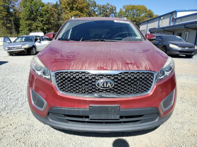 5XYPG4A39GG093700 - 2016 KIA SORENTO LX RED photo 5