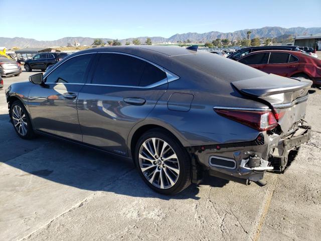 58ADA1C16MU008082 - 2021 LEXUS ES 300H GRAY photo 2