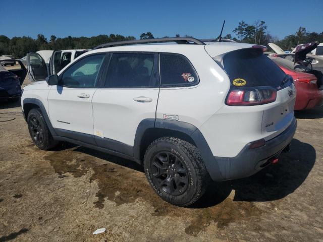 1C4PJMBX4LD613782 - 2020 JEEP CHEROKEE TRAILHAWK 白色 照片 2