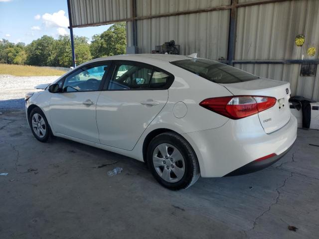 KNAFK4A62E5067723 - 2014 KIA FORTE LX WHITE photo 2