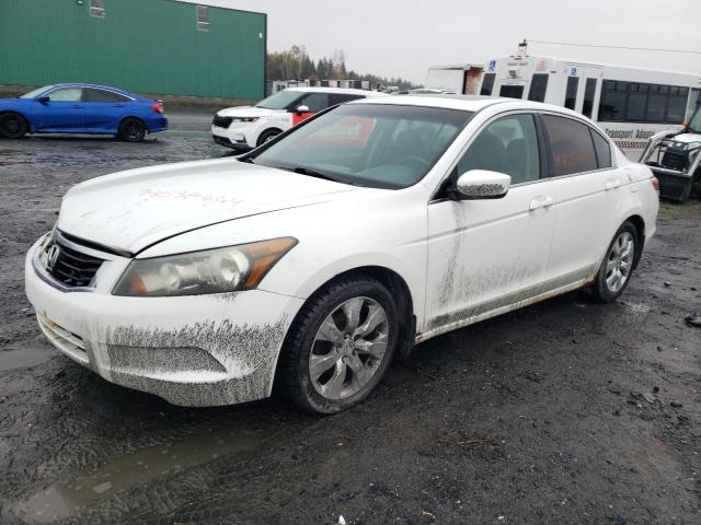 2010 HONDA ACCORD EX, 