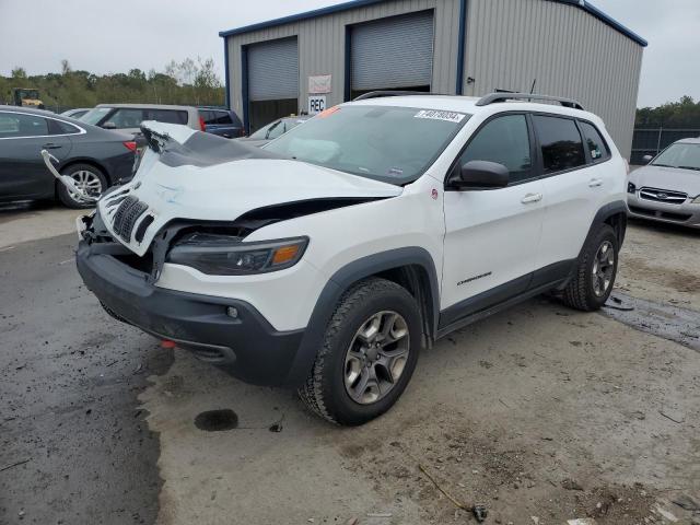 1C4PJMBX0KD360958 - 2019 JEEP CHEROKEE TRAILHAWK WHITE photo 1