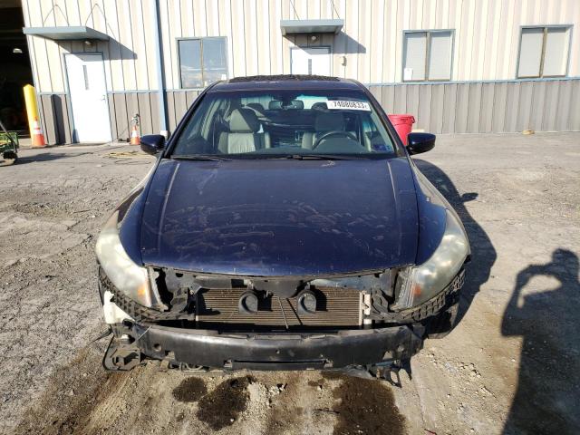 1HGCP26838A066907 - 2008 HONDA ACCORD EXL BLUE photo 5