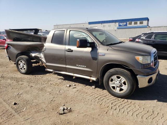 5TFCY5F18AX009492 - 2010 TOYOTA TUNDRA DOUBLE CAB SR5 BROWN photo 4