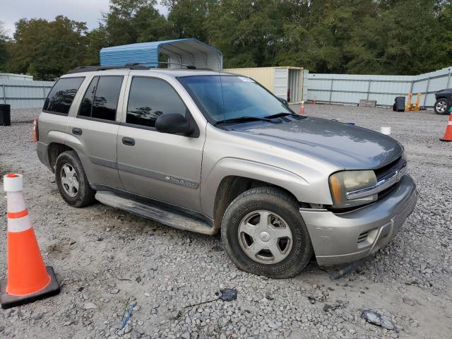 1GNDS13S832278658 - 2003 CHEVROLET TRAILBLAZE GRAY photo 4