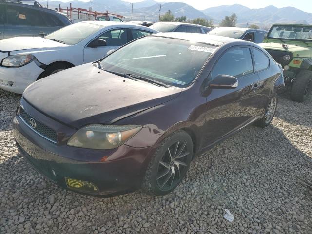 JTKDE177470156184 - 2007 TOYOTA SCION TC 勃艮第红 照片 1