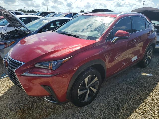 JTJGARBZ7M5032591 - 2021 LEXUS NX 300 BASE ბურგუნდია ფოტო 1