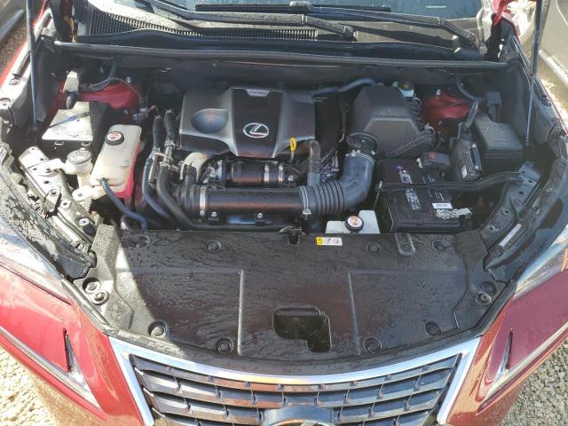 JTJGARBZ7M5032591 - 2021 LEXUS NX 300 BASE ბურგუნდია ფოტო 12