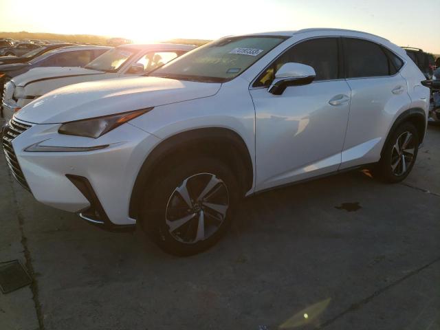 JTJGARDZ4M5026020 - 2021 LEXUS NX 300 BASE Ağ foto 1