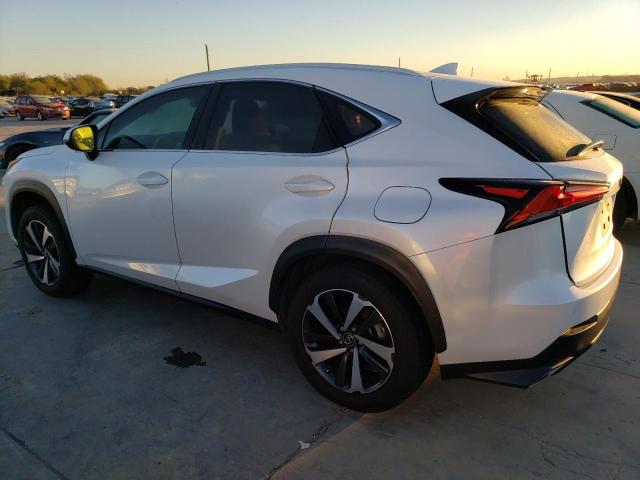 JTJGARDZ4M5026020 - 2021 LEXUS NX 300 BASE Ağ foto 2