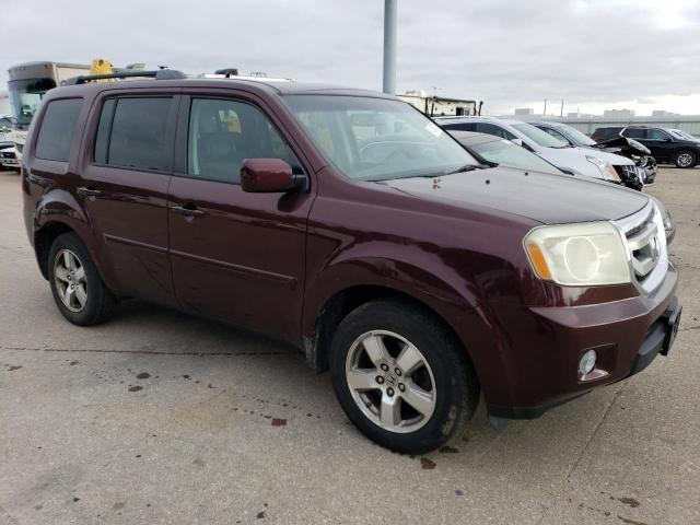 5FNYF48529B018927 - 2009 HONDA PILOT EXL BURGUNDY photo 4