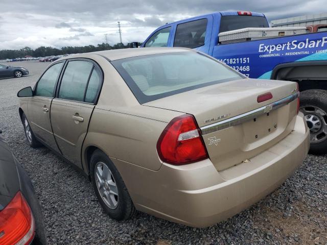 1G1ZT54824F201521 - 2004 CHEVROLET MALIBU LS GOLD photo 2