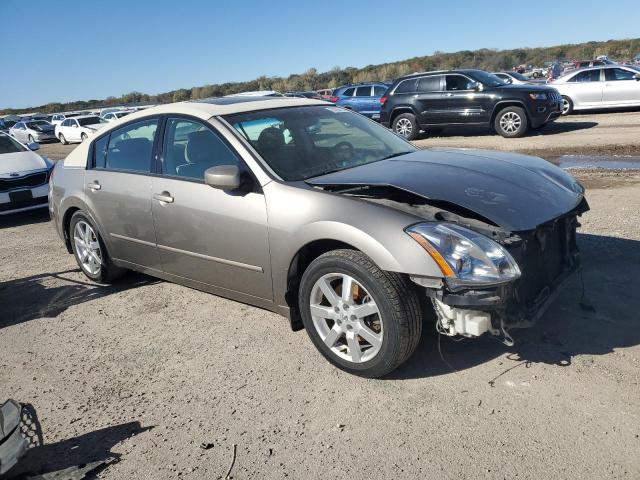 1N4BA41E74C906826 - 2004 NISSAN MAXIMA SE TAN photo 4