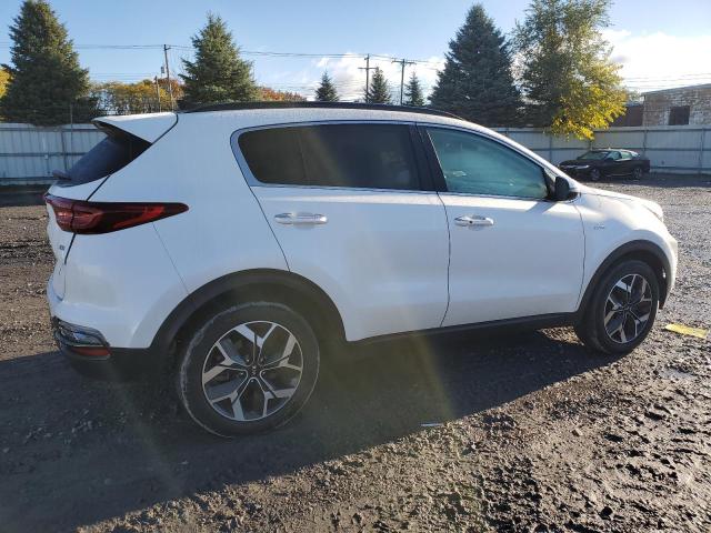 KNDPNCAC3L7784342 - 2020 KIA SPORTAGE EX WHITE photo 3