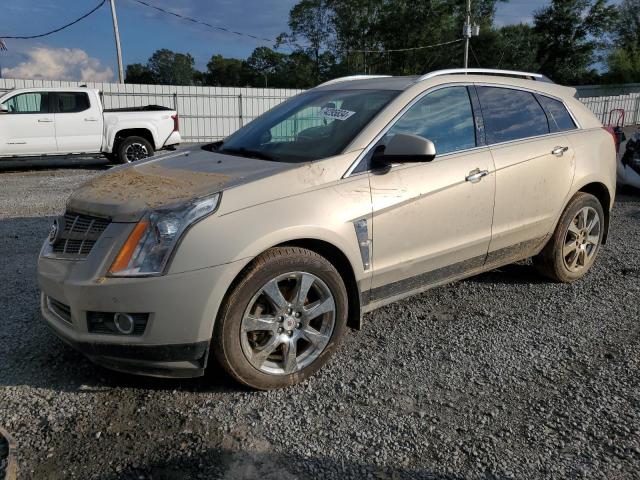 3GYFNBEY8AS609962 - 2010 CADILLAC SRX PERFORMANCE COLLECTION Beige photo 1