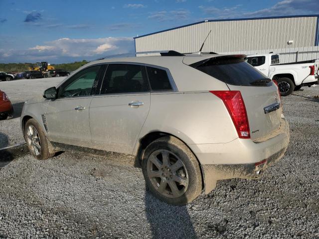 3GYFNBEY8AS609962 - 2010 CADILLAC SRX PERFORMANCE COLLECTION Beige photo 2