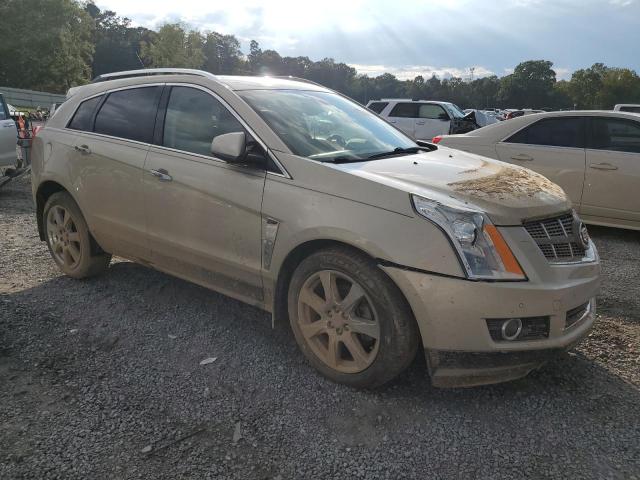3GYFNBEY8AS609962 - 2010 CADILLAC SRX PERFORMANCE COLLECTION Beige photo 4