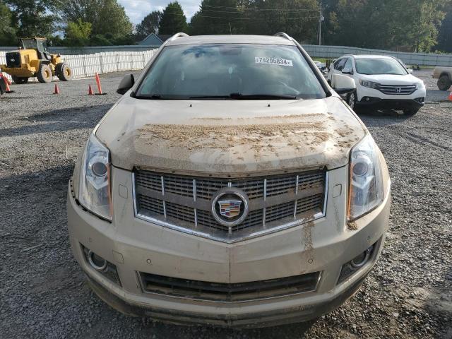3GYFNBEY8AS609962 - 2010 CADILLAC SRX PERFORMANCE COLLECTION Beige photo 5
