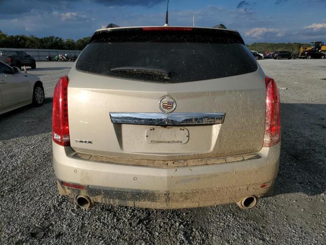 3GYFNBEY8AS609962 - 2010 CADILLAC SRX PERFORMANCE COLLECTION Beige photo 6