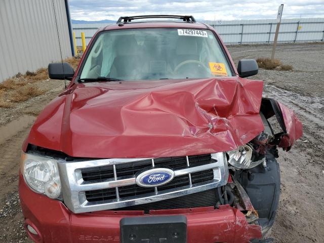 1FMCU0D76CKB64902 - 2012 FORD ESCAPE XLT BURGUNDY photo 12