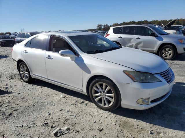 JTHBK1EG7A2350986 - 2010 LEXUS ES 350 WHITE photo 4