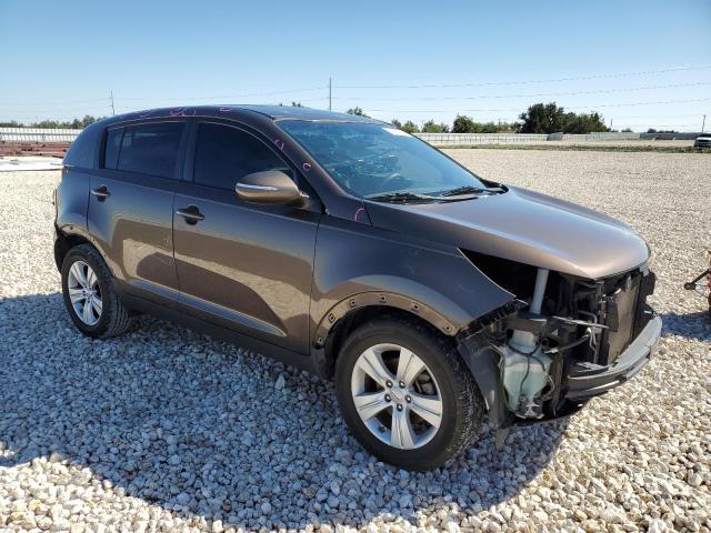 KNDPB3A27D7515665 - 2013 KIA SPORTAGE BASE BROWN photo 4