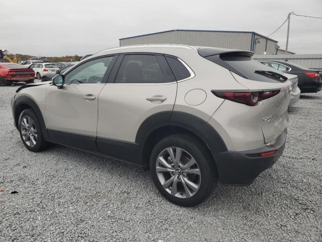 3MVDMBCM4PM532860 - 2023 MAZDA CX-30 PREFERRED TAN photo 2