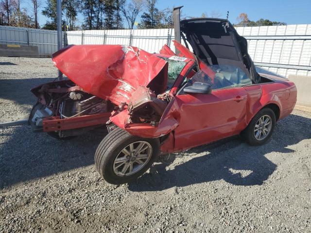 1ZVHT84N385120627 - 2008 FORD MUSTANG RED photo 1