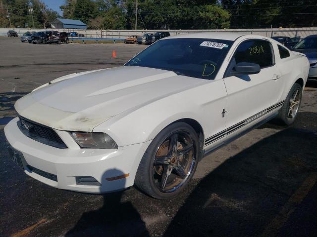 1ZVBP8AM4C5242699 - 2012 FORD MUSTANG WHITE photo 1