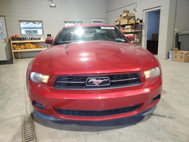 1ZVBP8AM2C5204694 - 2012 FORD MUSTANG RED photo 5