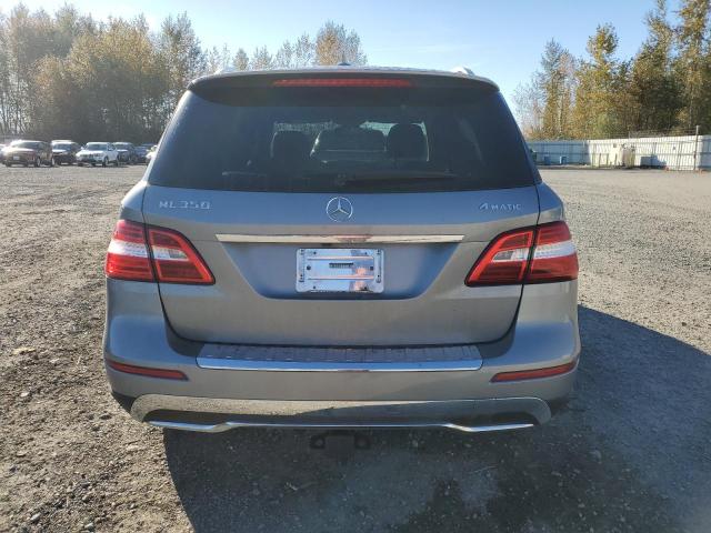 4JGDA5HB6CA024296 - 2012 MERCEDES-BENZ ML 350 4MATIC SILVER photo 6
