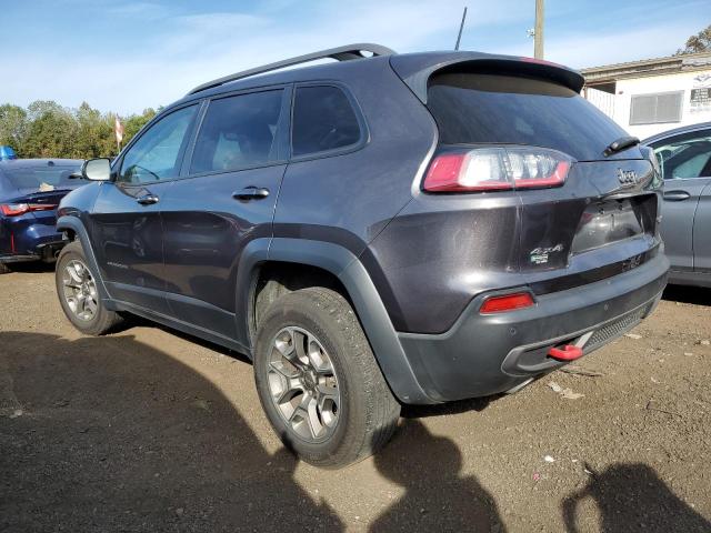 1C4PJMBXXMD182169 - 2021 JEEP CHEROKEE TRAILHAWK Boz foto 2