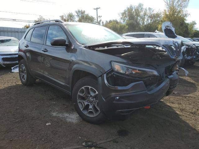 1C4PJMBXXMD182169 - 2021 JEEP CHEROKEE TRAILHAWK Boz foto 4