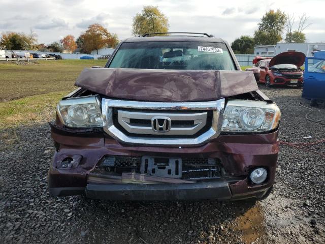 5FNYF485X9B004449 - 2009 HONDA PILOT EXL BURGUNDY photo 5