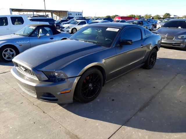1ZVBP8AM4E5260056 - 2014 FORD MUSTANG GRAY photo 1