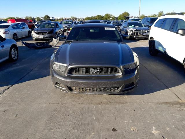 1ZVBP8AM4E5260056 - 2014 FORD MUSTANG GRAY photo 5