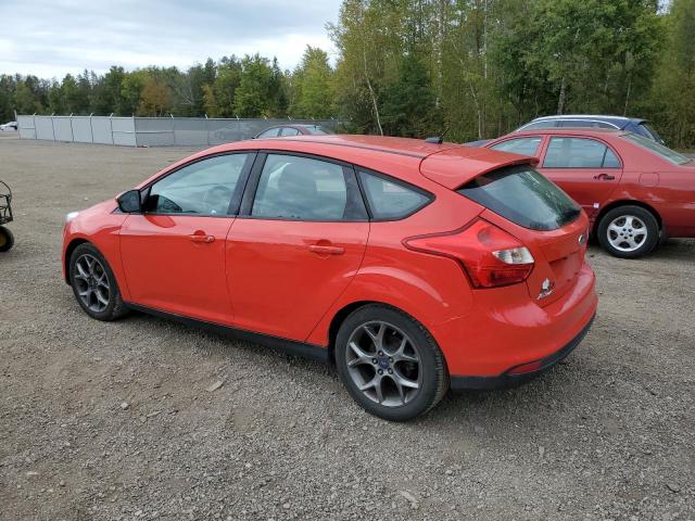 1FADP3K22DL100656 - 2013 FORD FOCUS SE RED photo 2